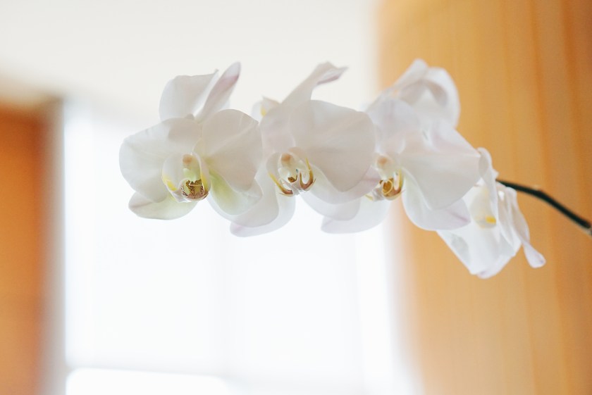 cusina-ni-lola-by-chef-tatung-pan-pacific-manila