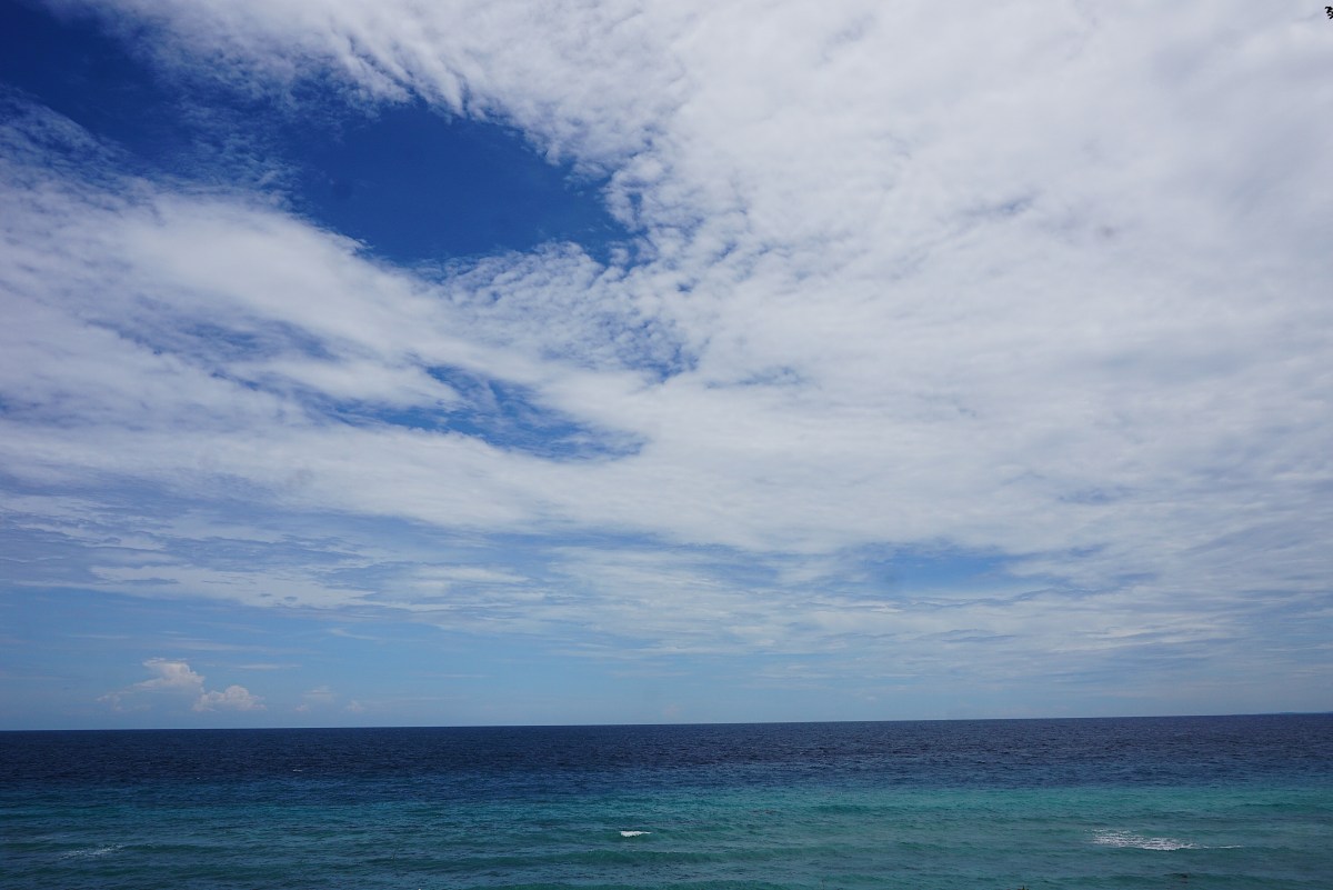 EAT and EXPLORE – Bohol Bee&nbsp;Farm