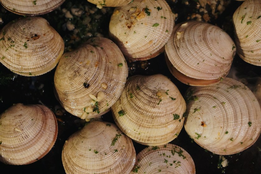 eat-and-explore-amorita-resort-panglao-bohol