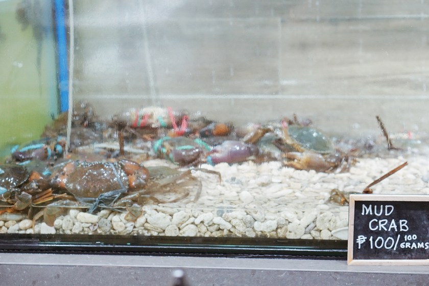 mckinley-hill-eats-paluto-all-you-can-at-isla-sugbu-seafood-city