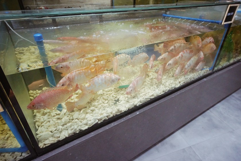 mckinley-hill-eats-paluto-all-you-can-at-isla-sugbu-seafood-city